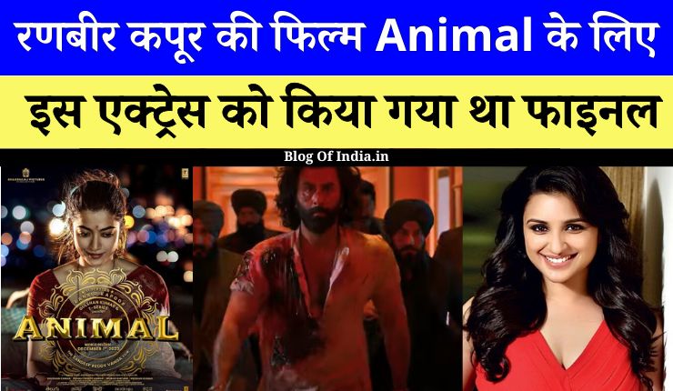 Bollywood News: Animal के लिए इस एक्ट्रेस को किया गया था फाइनल